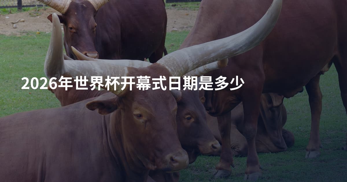 2026年世界杯开幕式日期是多少