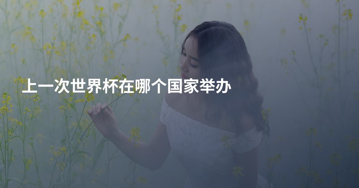 上一次世界杯在哪个国家举办