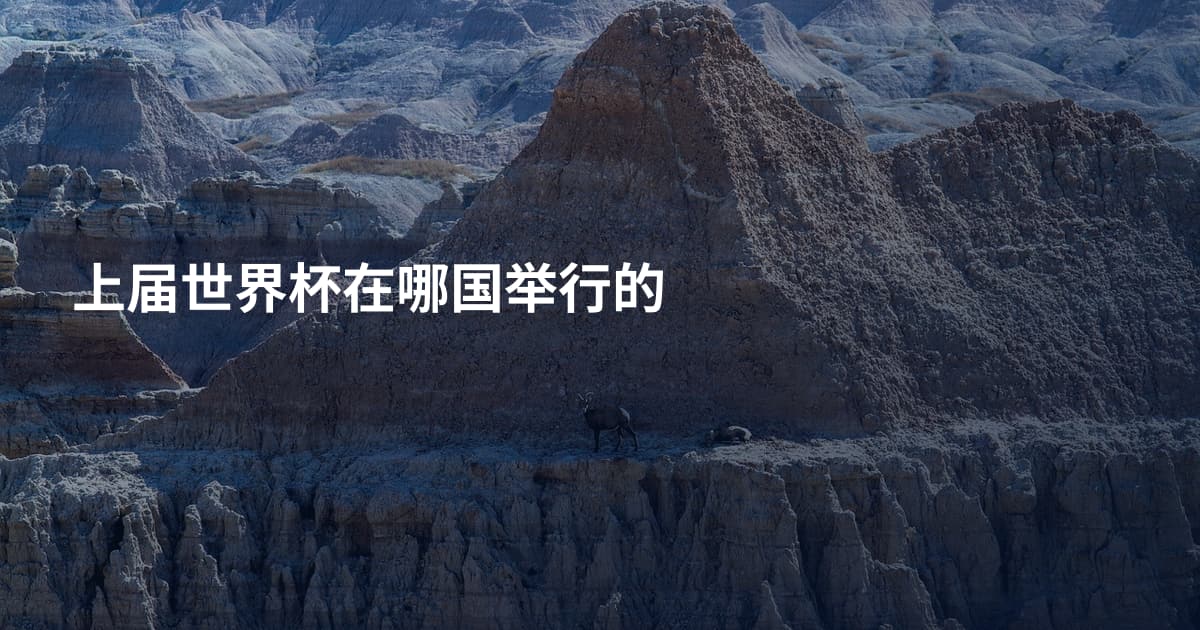 上届世界杯在哪国举行的