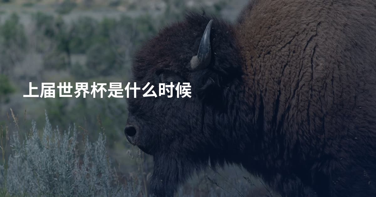 上届世界杯是什么时候