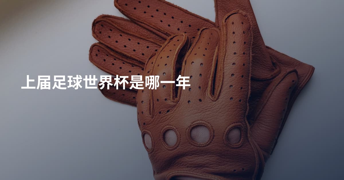 上届足球世界杯是哪一年