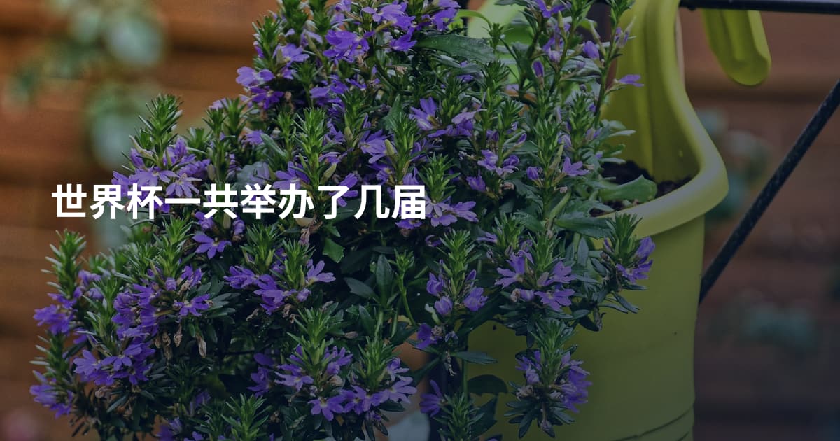 世界杯一共举办了几届
