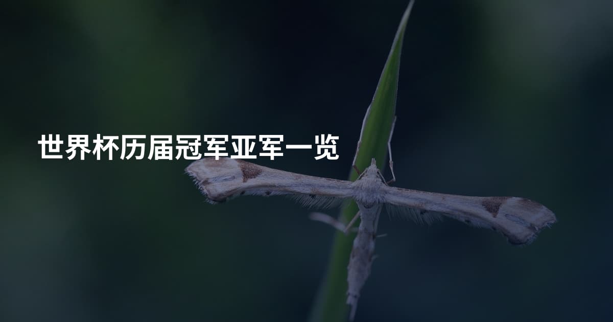 世界杯历届冠军亚军一览
