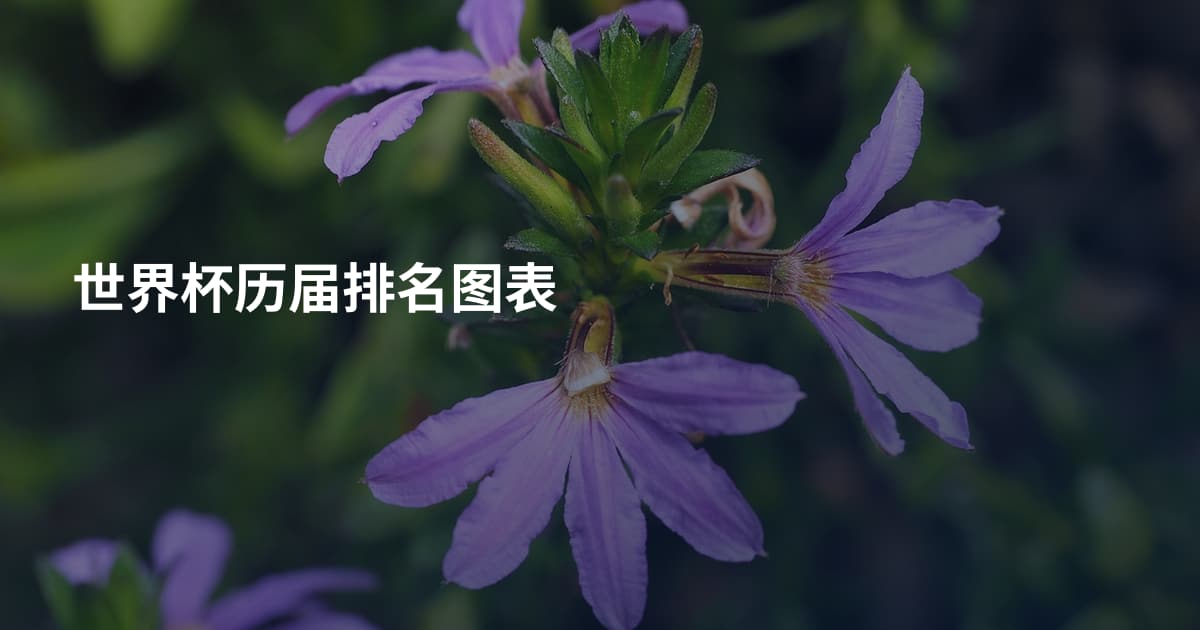 世界杯历届排名图表