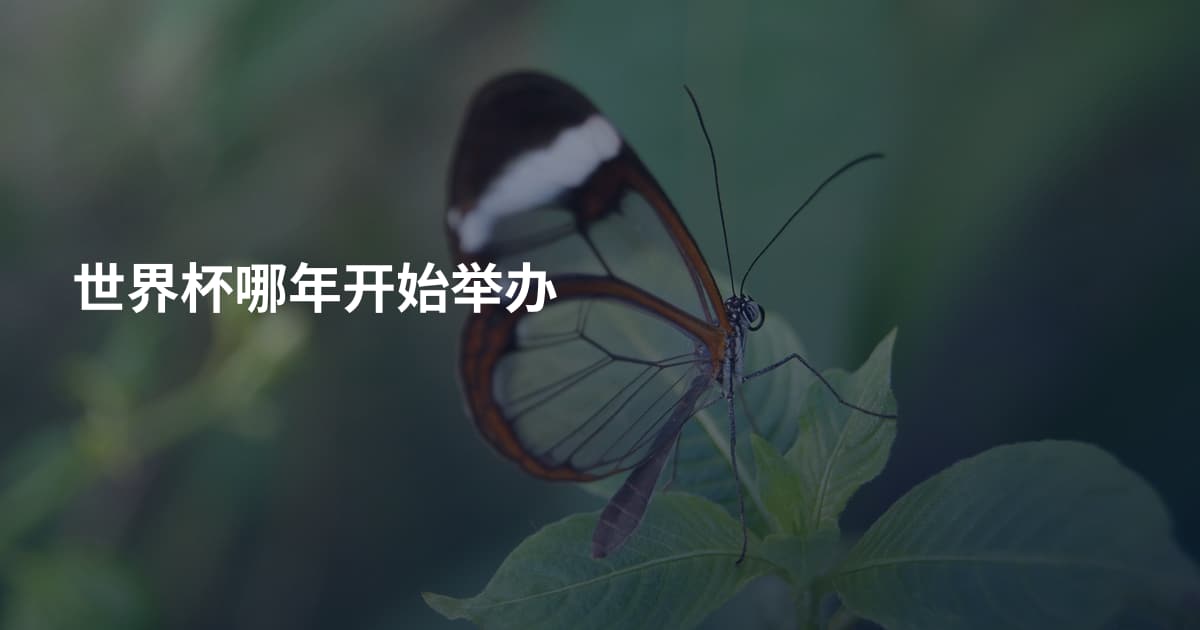 世界杯哪年开始举办