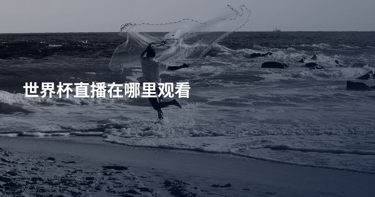 世界杯直播在哪里观看