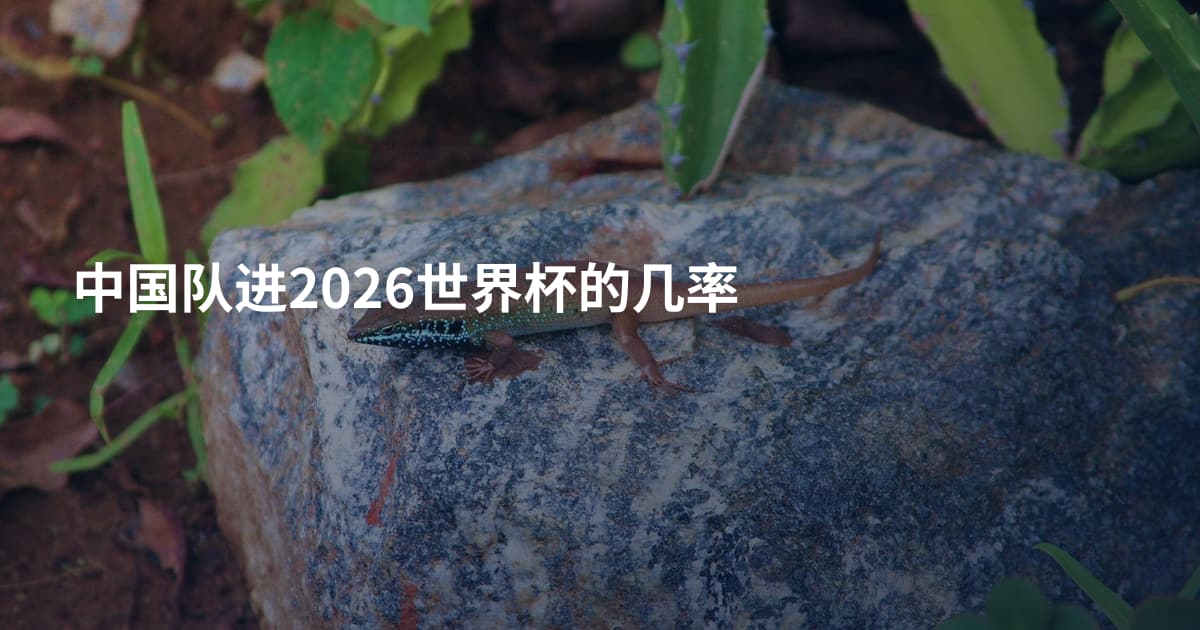 中国队进2026世界杯的几率