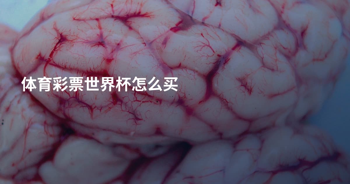 体育彩票世界杯怎么买