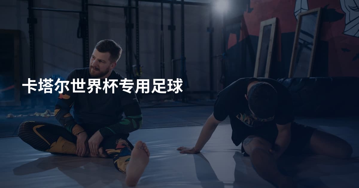 卡塔尔世界杯专用足球