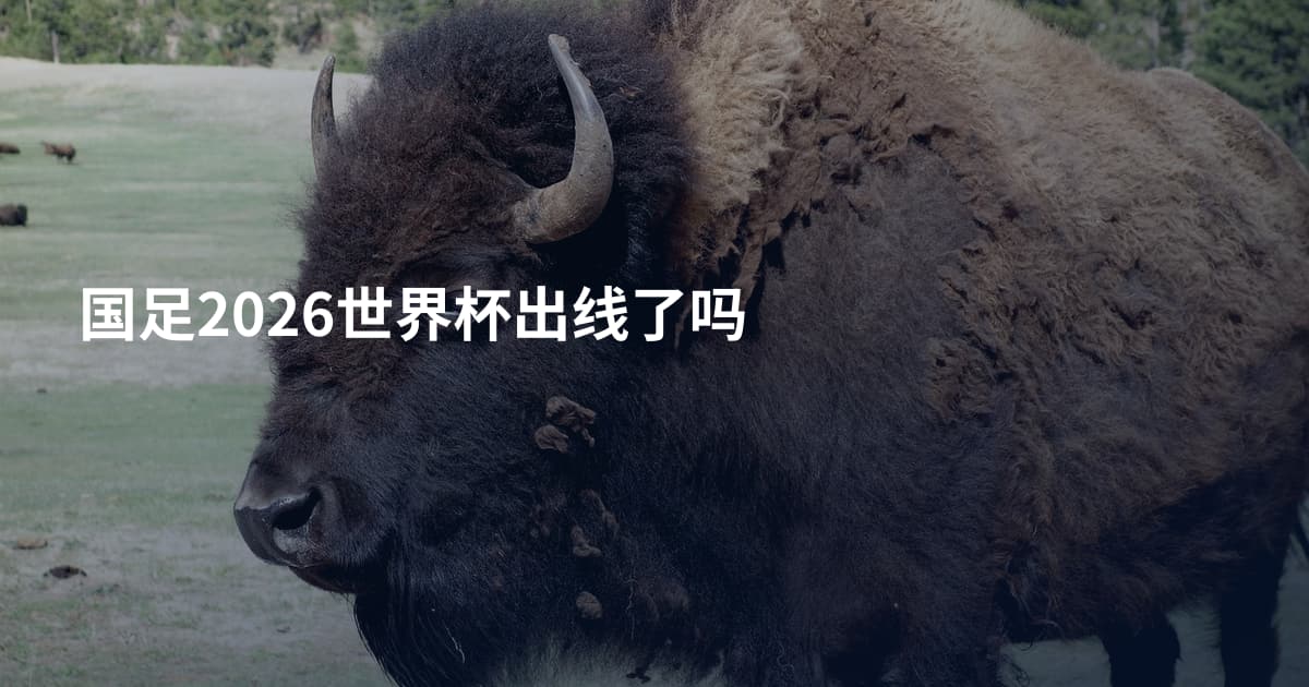 国足2026世界杯出线了吗