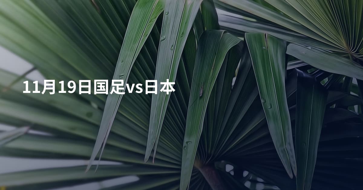 11月19日国足vs日本