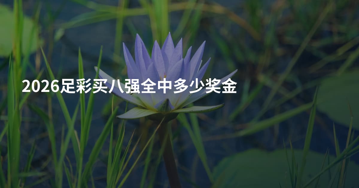 2026足彩买八强全中多少奖金