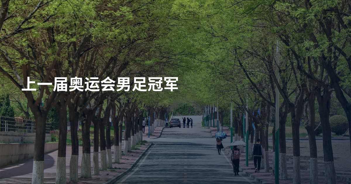 上一届奥运会男足冠军