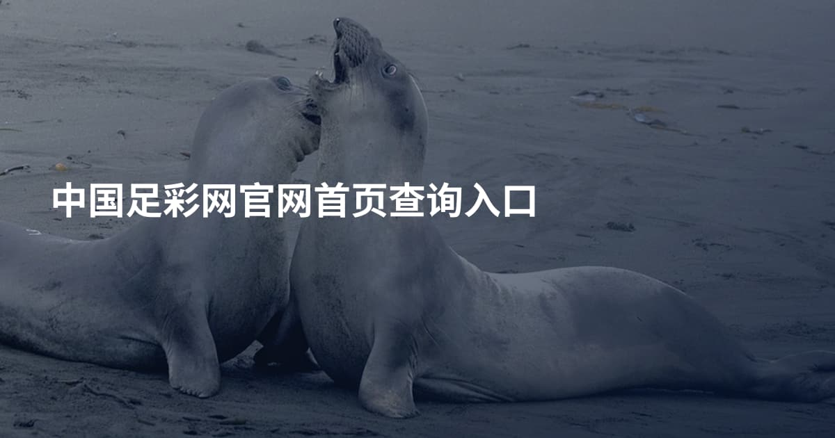 中国足彩网官网首页查询入口