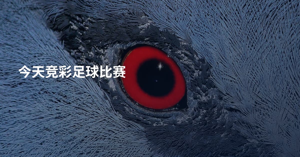 今天竞彩足球比赛
