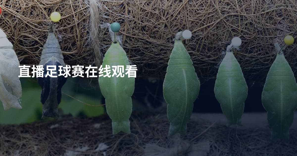 直播足球赛在线观看