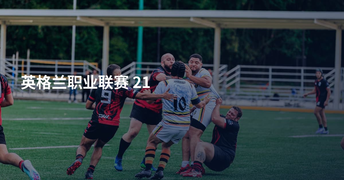 英格兰职业联赛 21