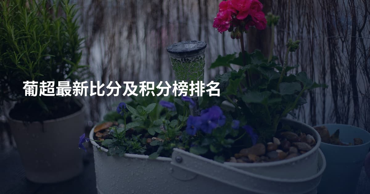 葡超最新比分及积分榜排名