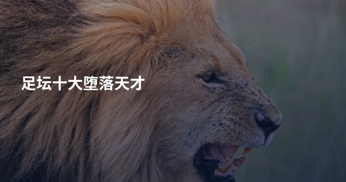 足坛十大堕落天才