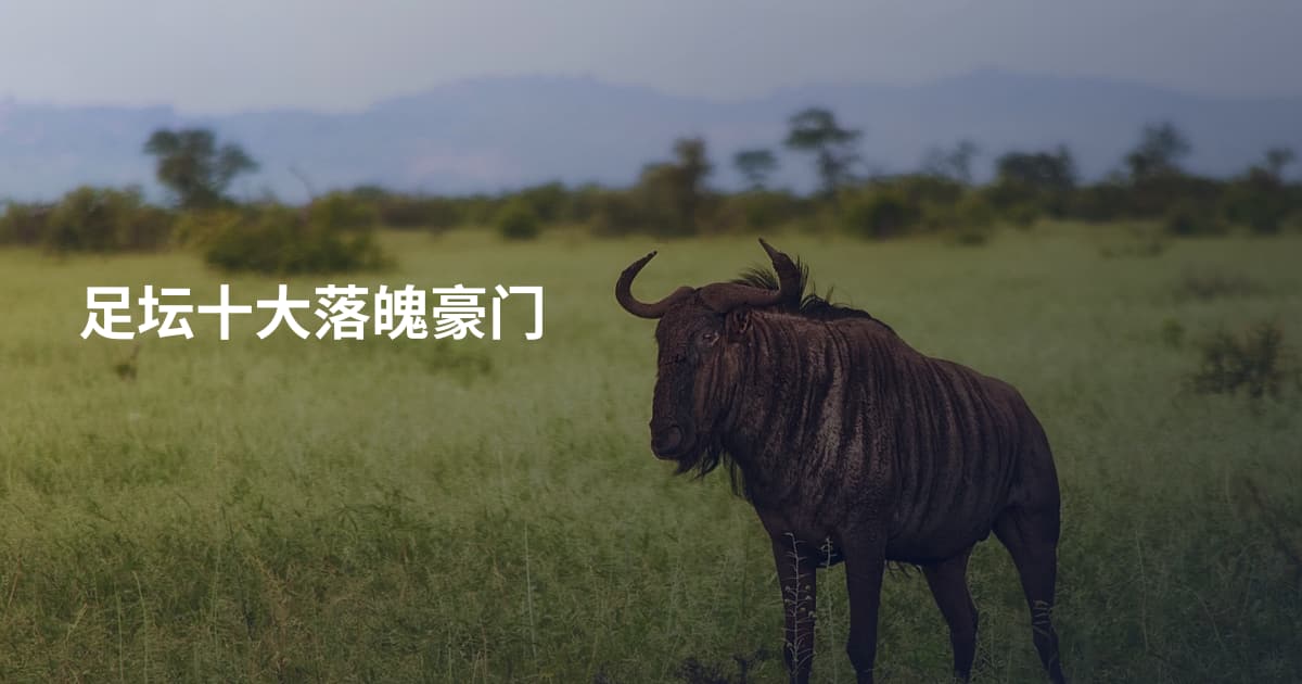 足坛十大落魄豪门