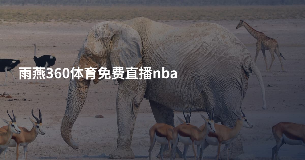 雨燕360体育免费直播nba