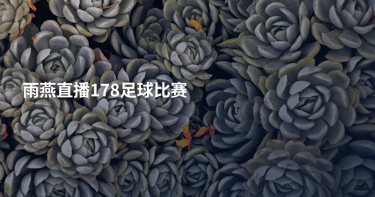 雨燕直播178足球比赛