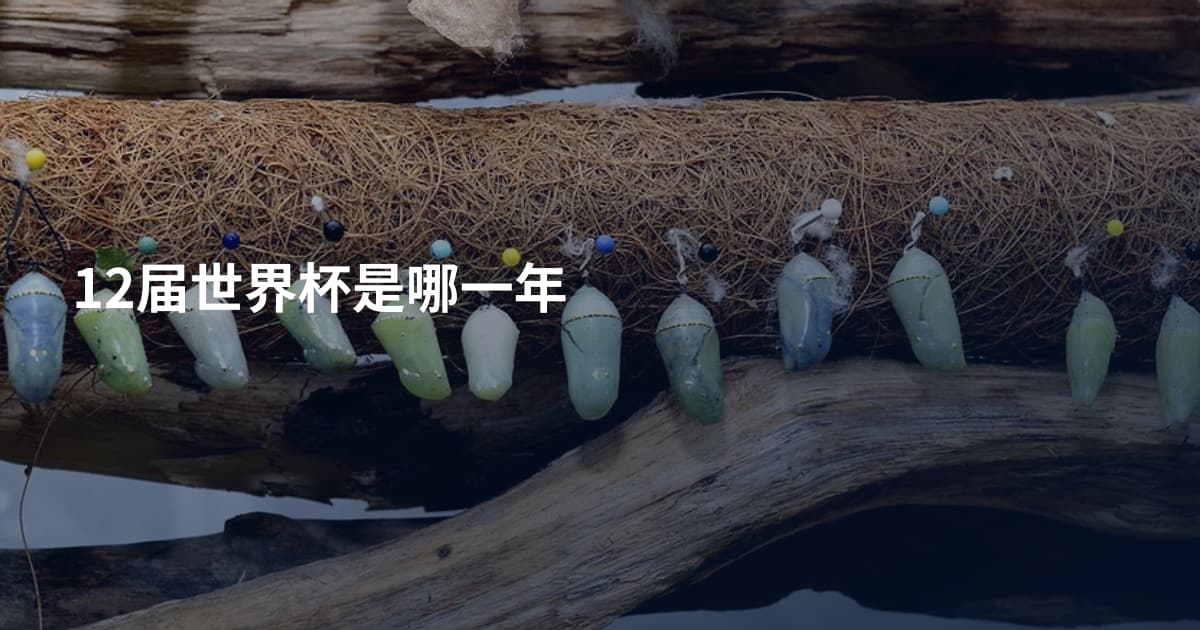 12届世界杯是哪一年