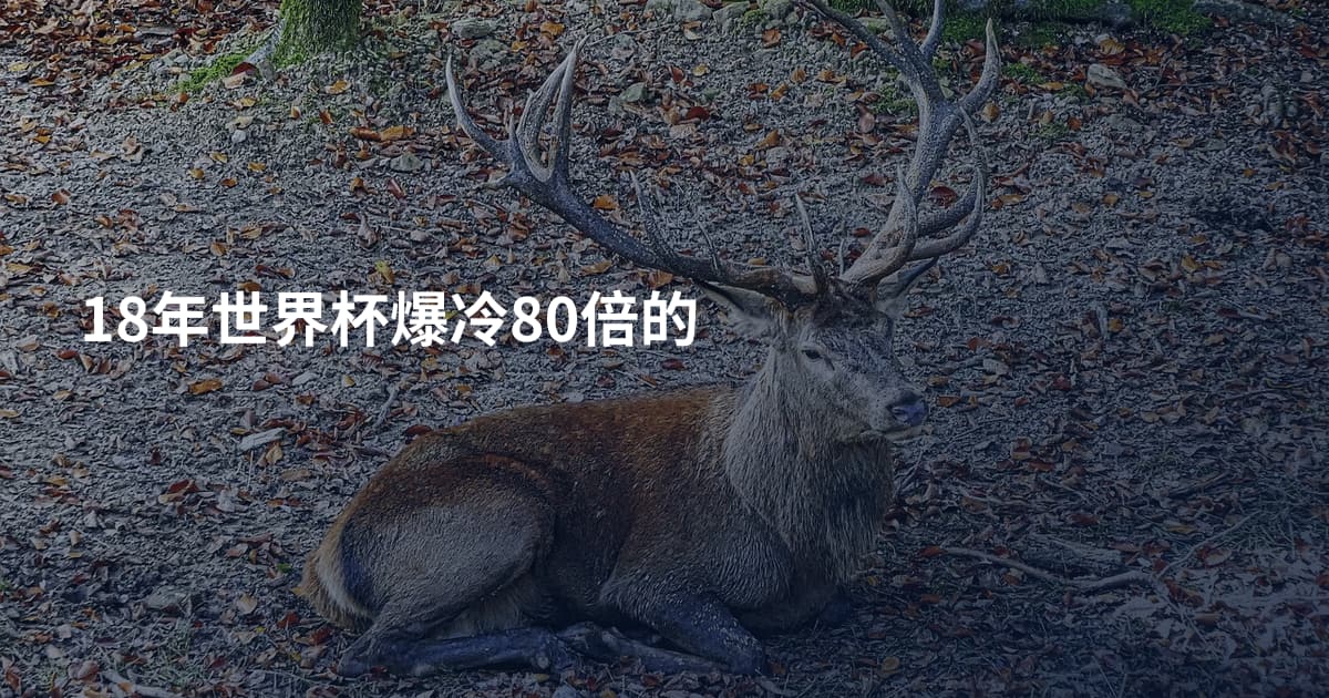 18年世界杯爆冷80倍的