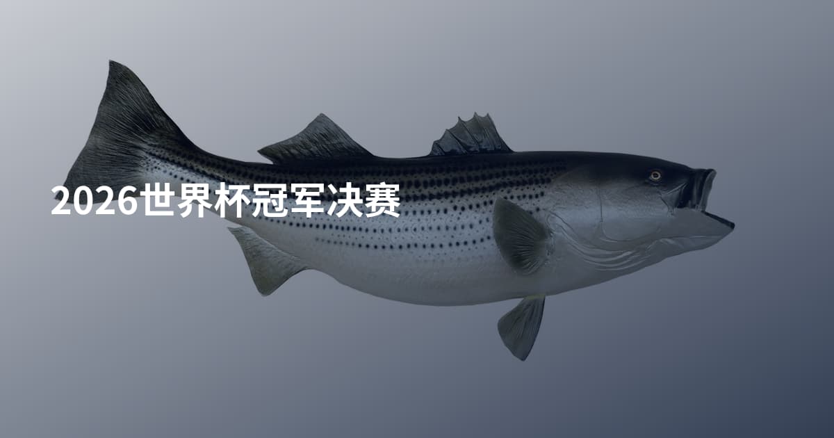 2026世界杯冠军决赛