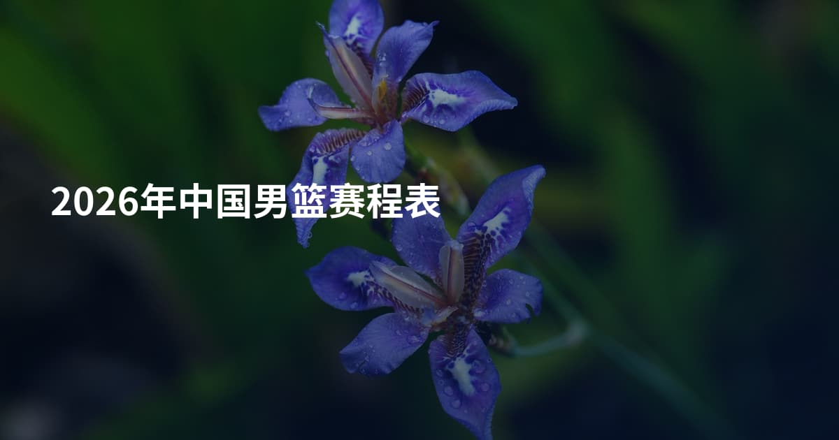 2026年中国男篮赛程表