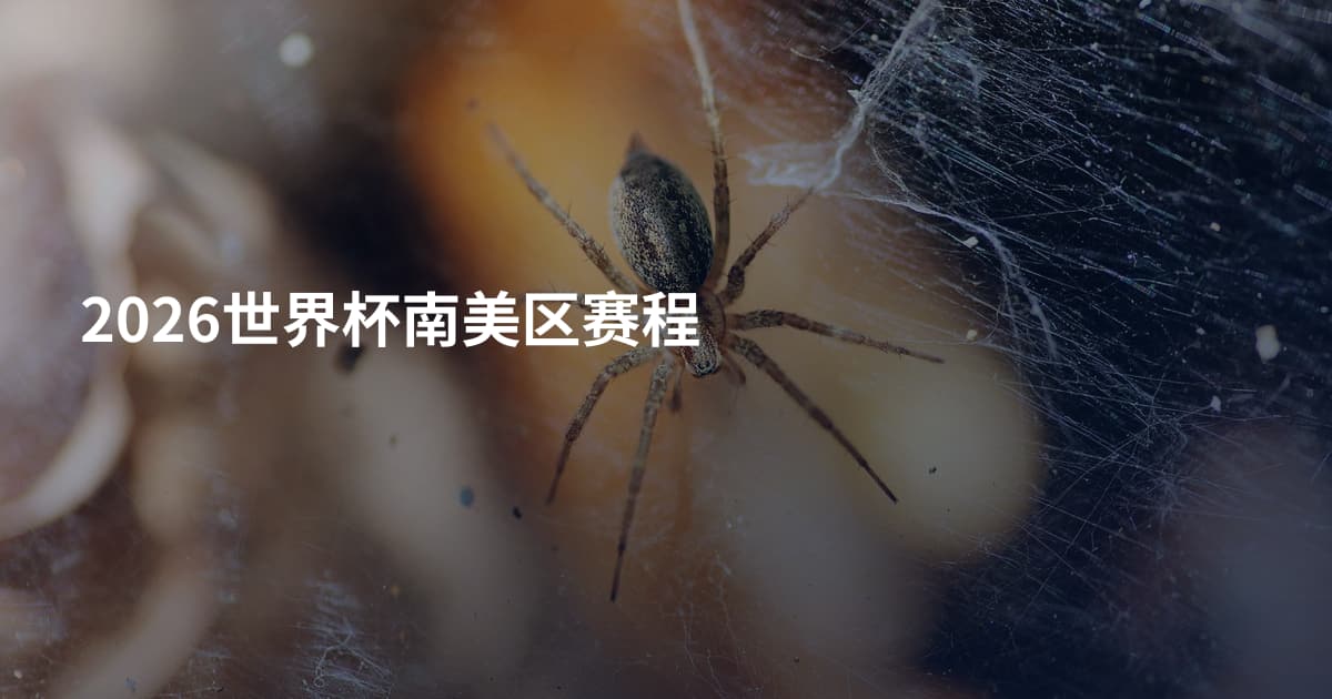 2026世界杯南美区赛程