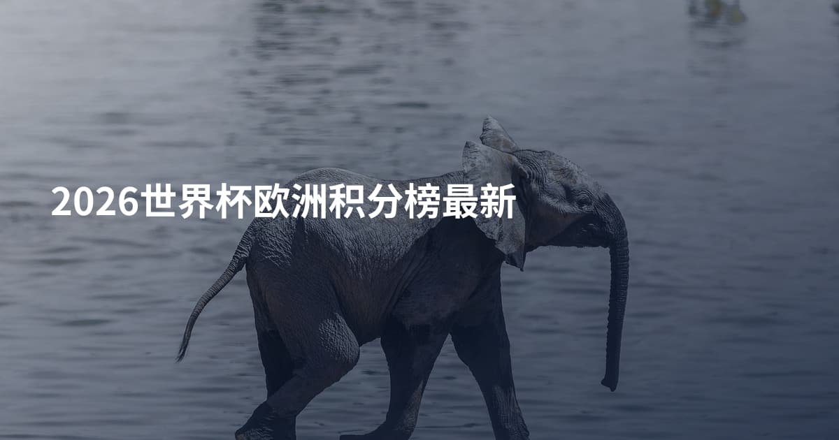 2026世界杯欧洲积分榜最新