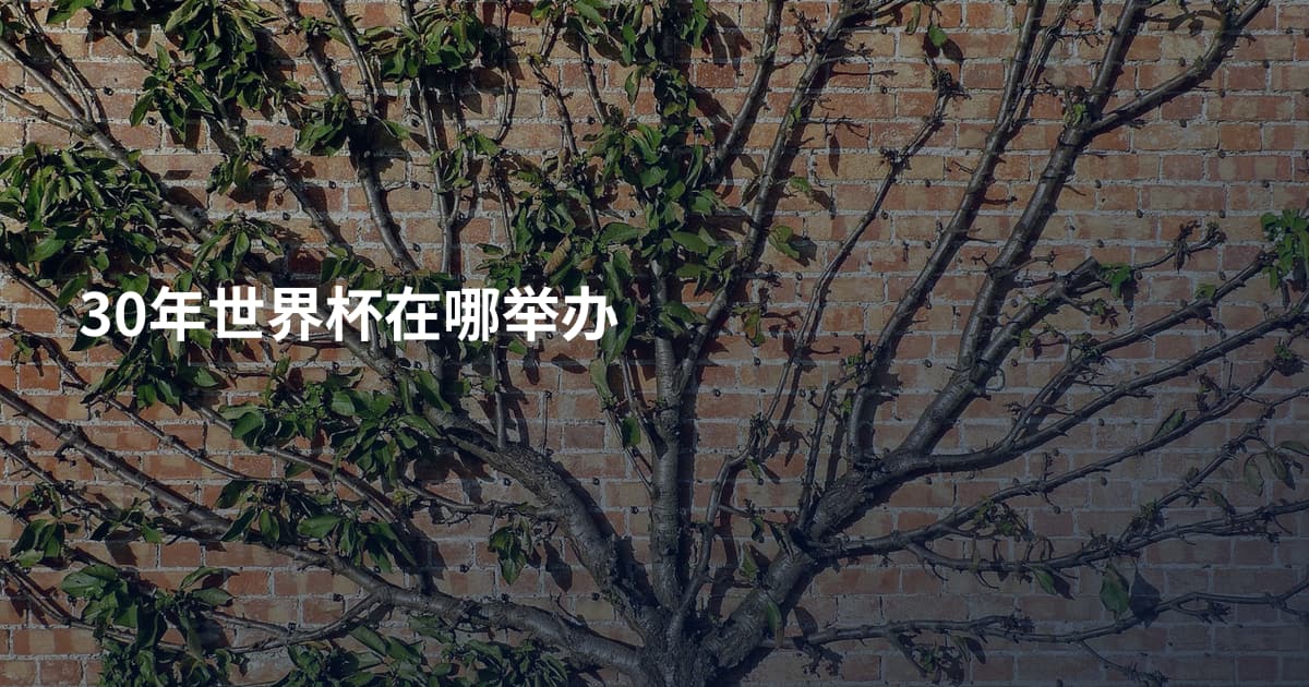 30年世界杯在哪举办
