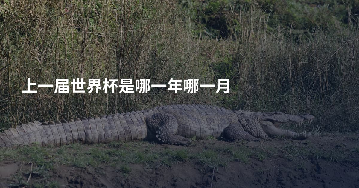 上一届世界杯是哪一年哪一月