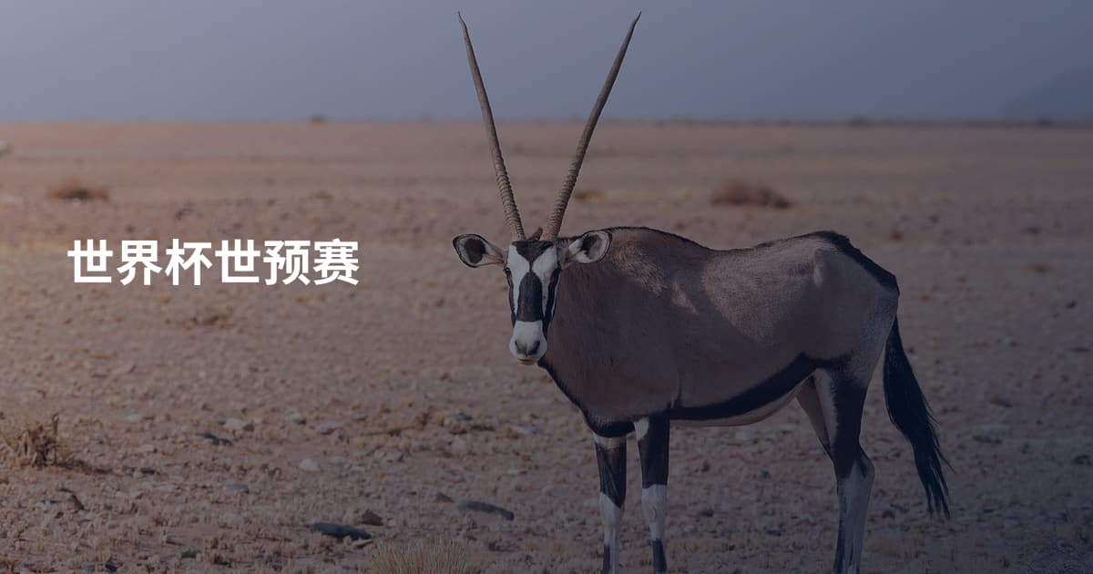 世界杯世预赛
