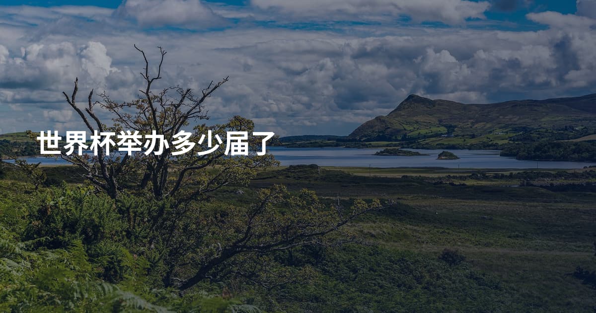 世界杯举办多少届了