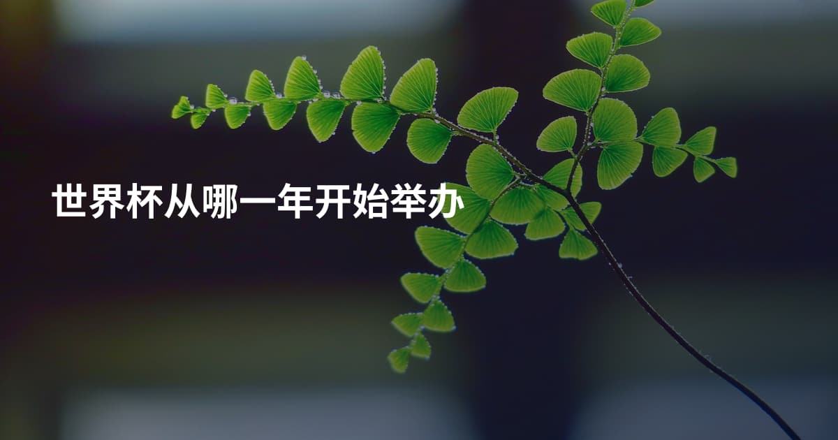 世界杯从哪一年开始举办