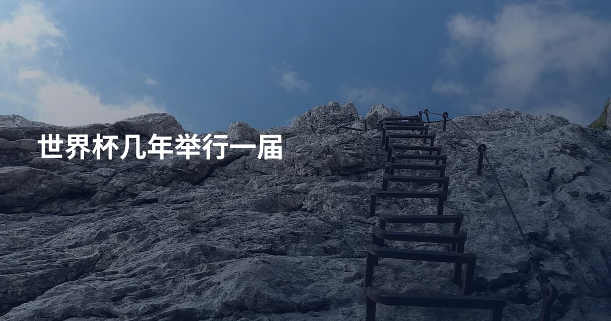 世界杯几年举行一届