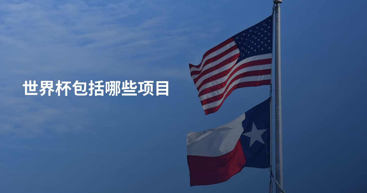 世界杯包括哪些项目