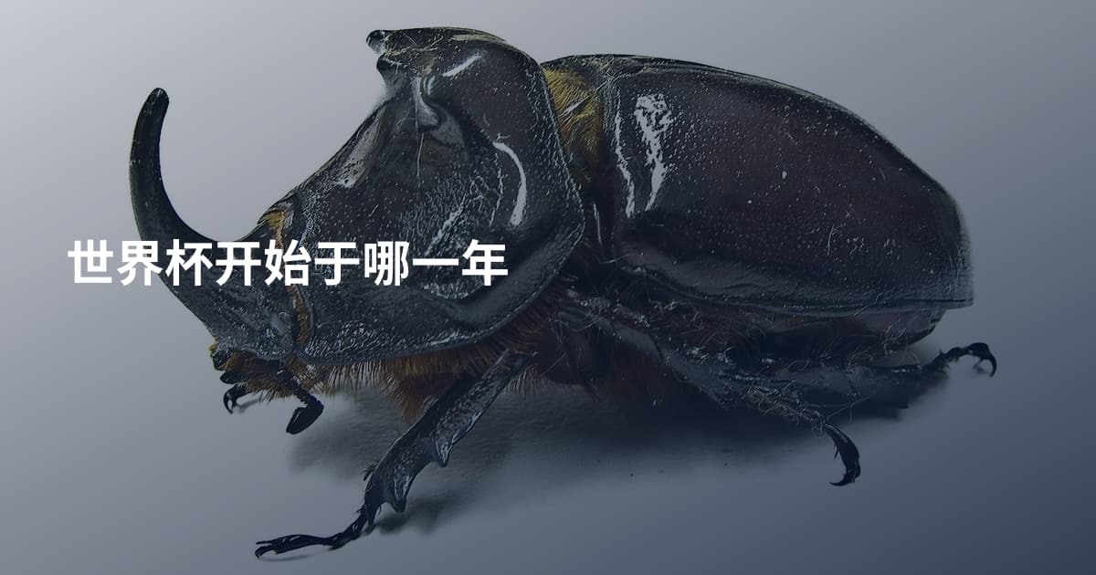 世界杯开始于哪一年