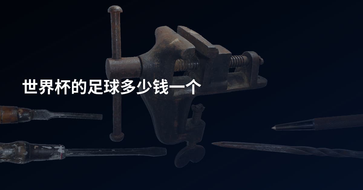 世界杯的足球多少钱一个