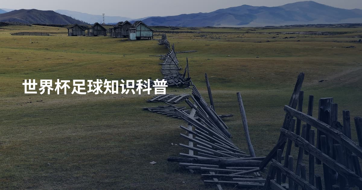 世界杯足球知识科普
