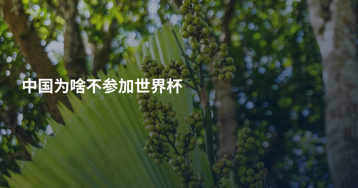 中国为啥不参加世界杯