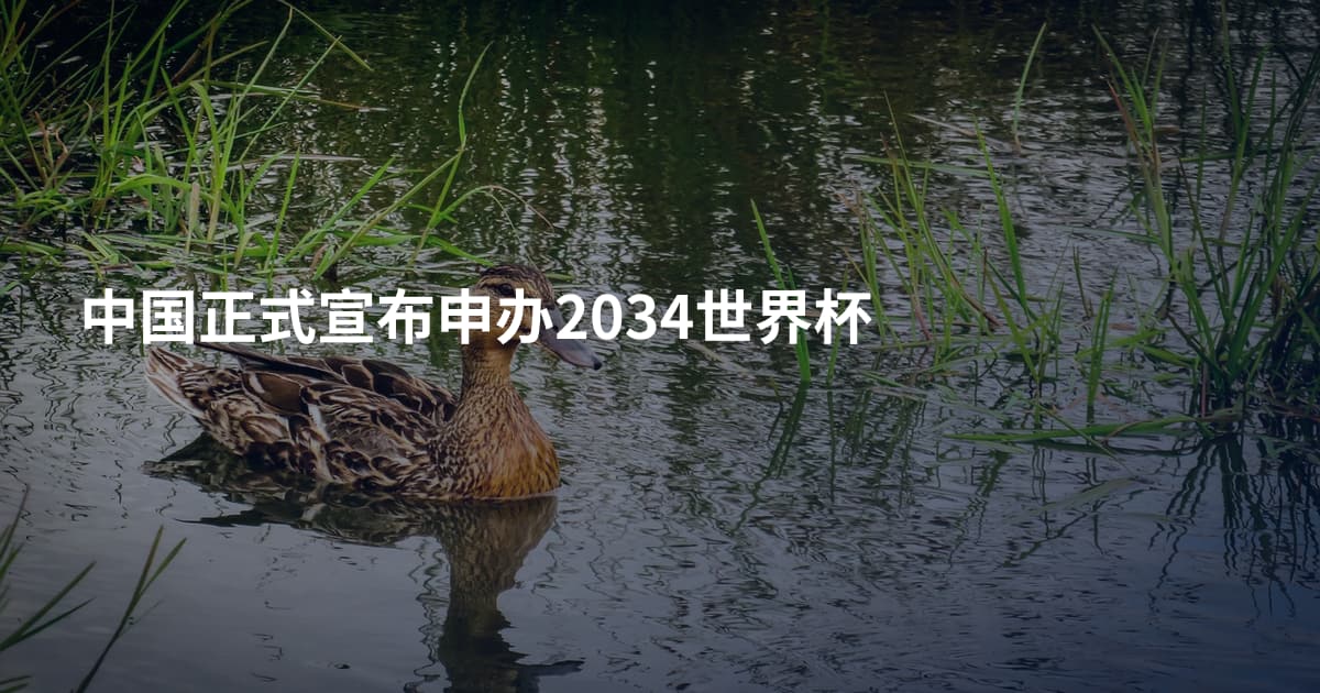 中国正式宣布申办2034世界杯