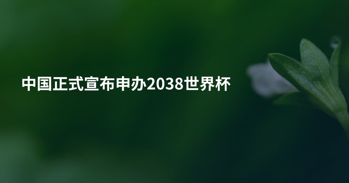 中国正式宣布申办2038世界杯