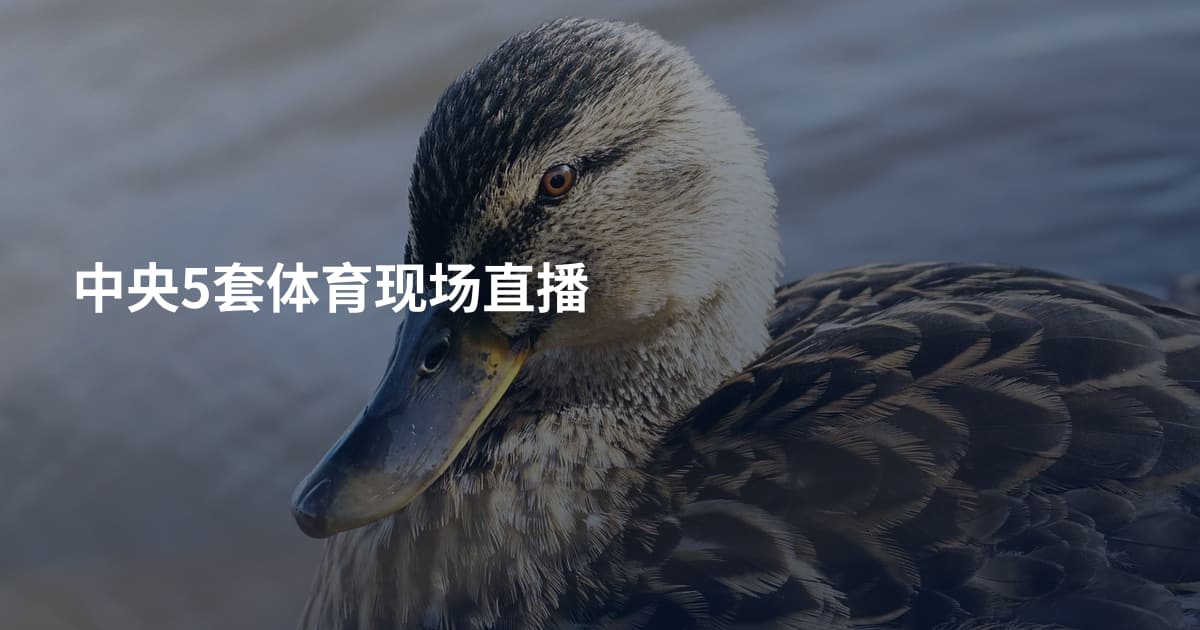 中央5套体育现场直播
