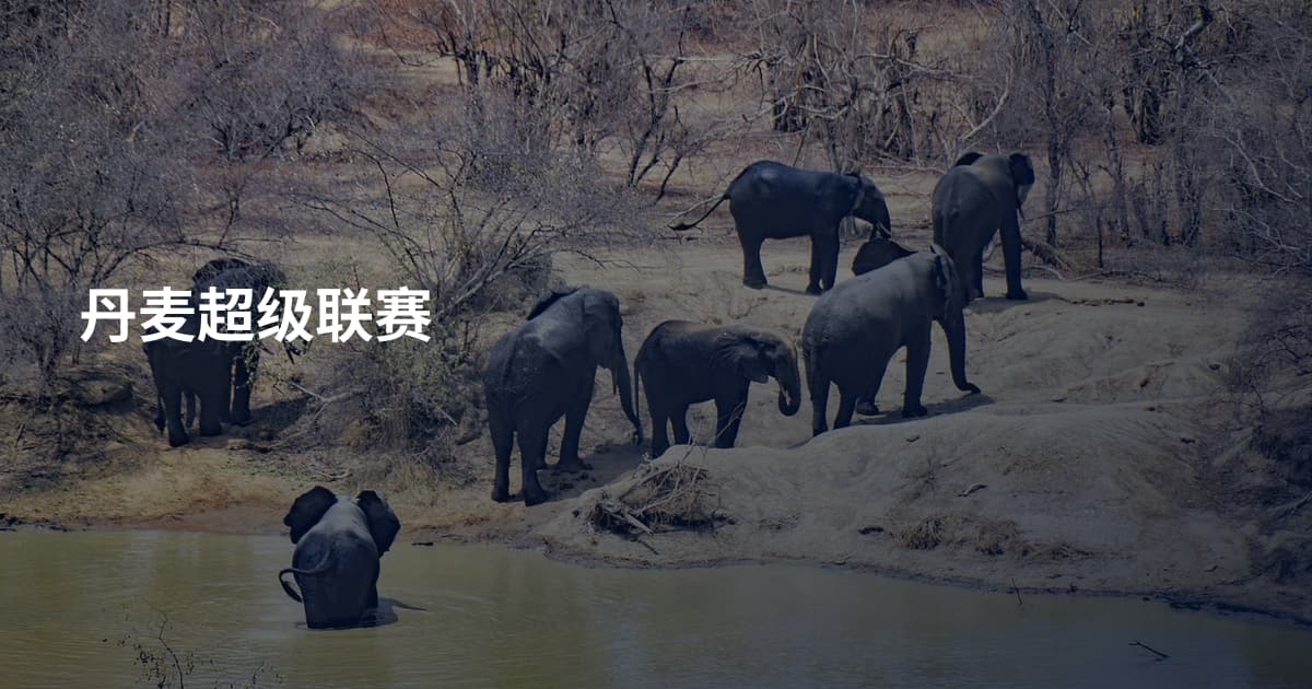 丹麦超级联赛