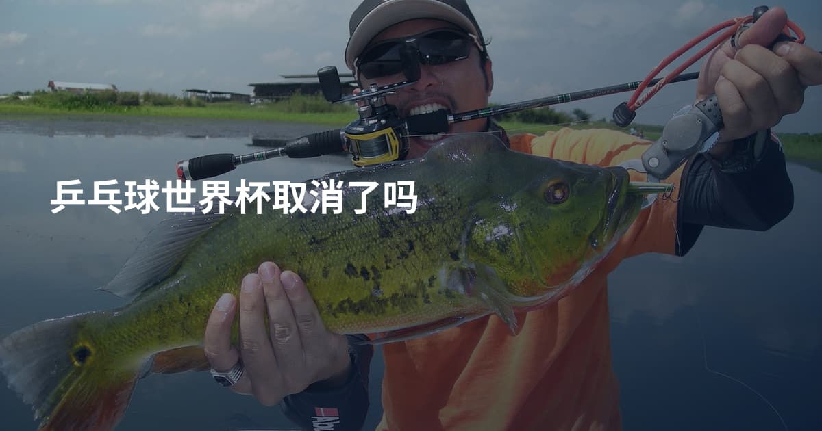 乒乓球世界杯取消了吗