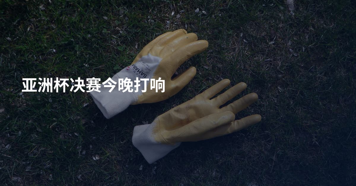 亚洲杯决赛今晚打响