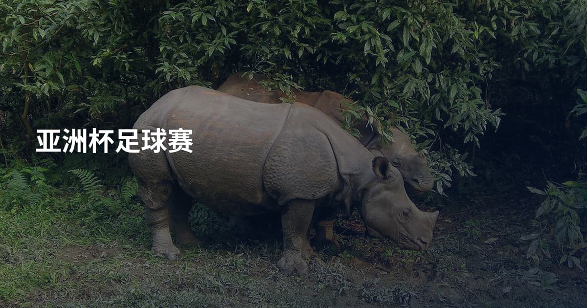 亚洲杯足球赛
